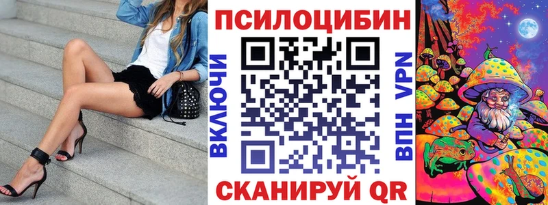 даркнет как зайти  Тутаев  Псилоцибиновые грибы Psilocybine cubensis  сколько стоит 